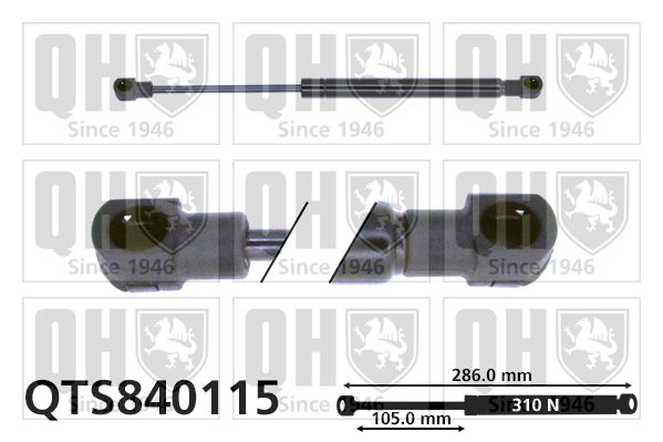 QUINTON HAZELL dujinė spyruoklė, bagažinė QTS840115